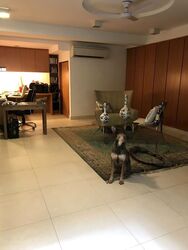 Sembawang Hills Estate (D20), Terrace #454037201